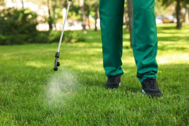 Best Wasp Removal Services  in Shady Shores, TX